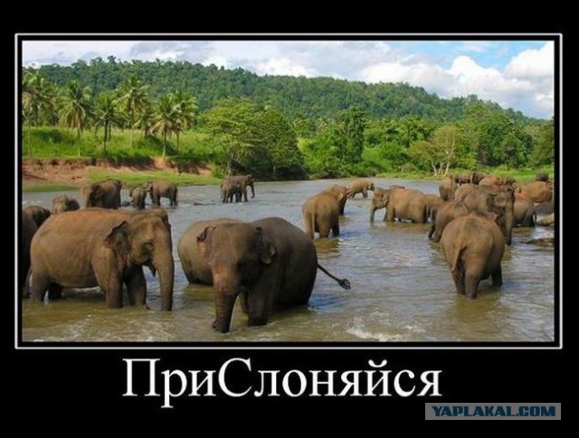 С Тяпницей!
