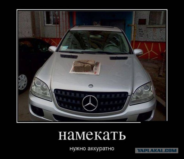 В нашем доме появился