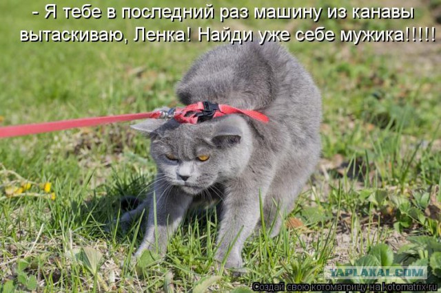 Смешные картинки, приколы, комментарии и прочее...