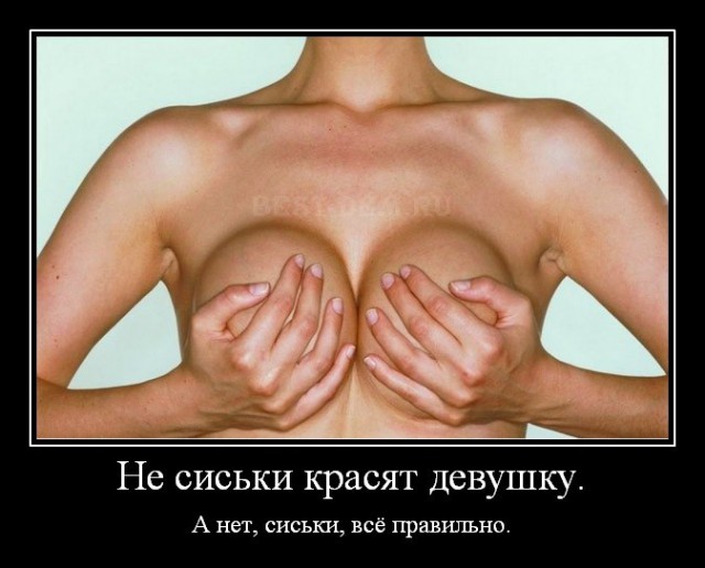 Веселое из сети
