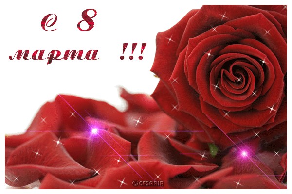 С международным вас женским днём.....