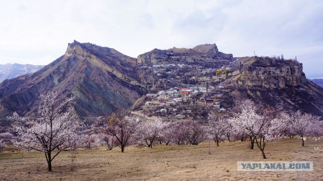 Дикарями в Дагестан, апрель 2015 г.