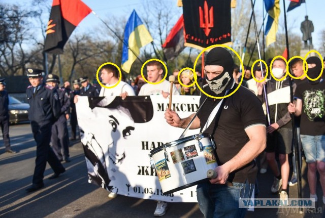 На картинке десять волков