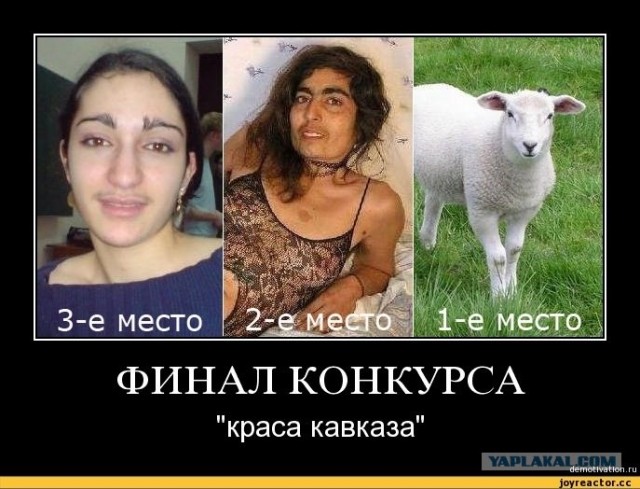 Калым: Сколько стоит невеста?