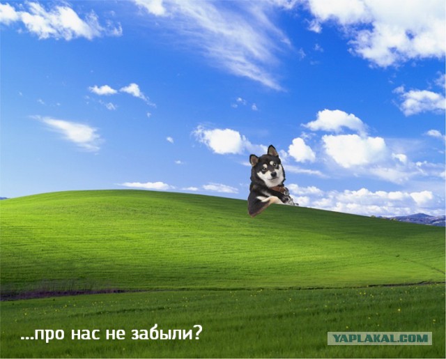 Прикольные картинки со старого ПК