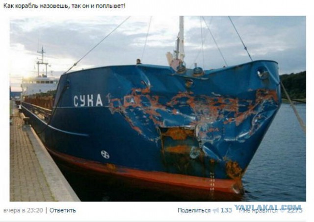 Разные картинки из сети