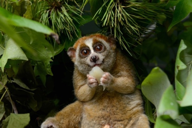 Как прекрасен и трагичен этот мир,   ч. 2