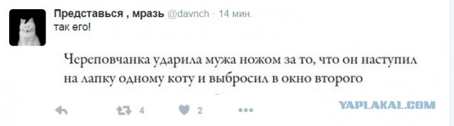 Смешные комментарии 13.03.2016