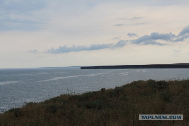 В Крыму Черное море стало желтым