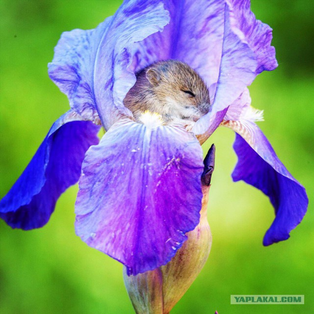 Подборка интересных и веселых картинок