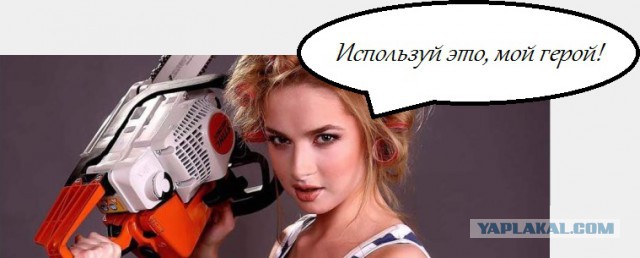 Путь к сердцу женщины лежит через..