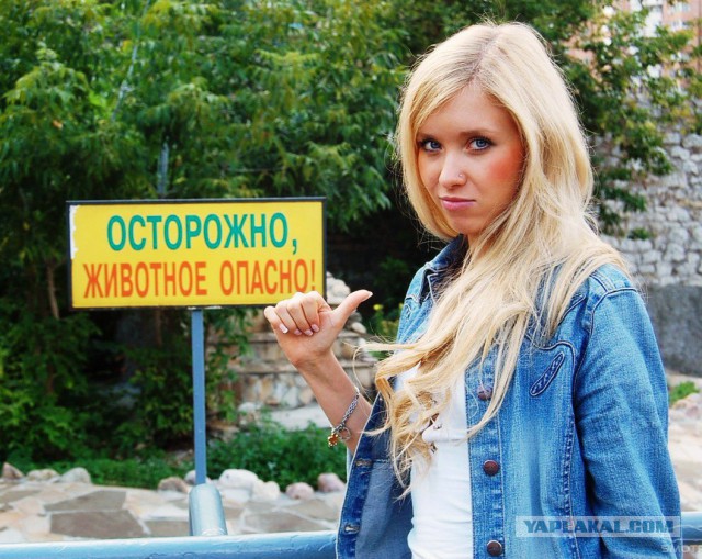 Чудики из социальных сетей