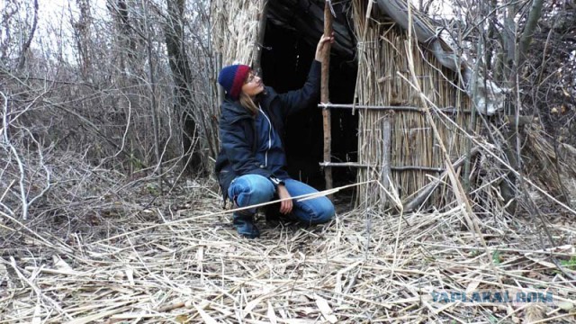 Хижина из тростника (камыша) своими руками