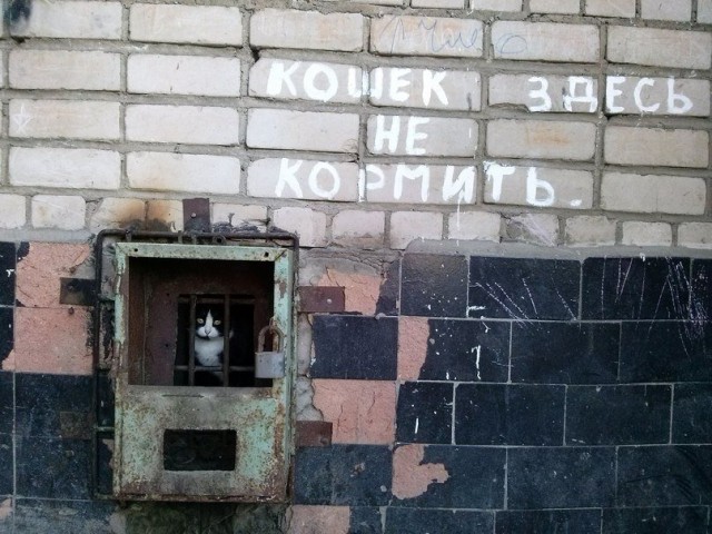 Разные картинки