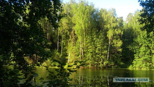 Красоты матушки России
