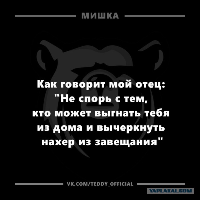 Забавные комментарии, шутки и фразы из этих ваших интернетов