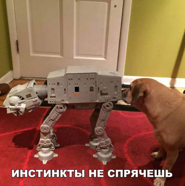 130 картинок для поднятия настроения!
