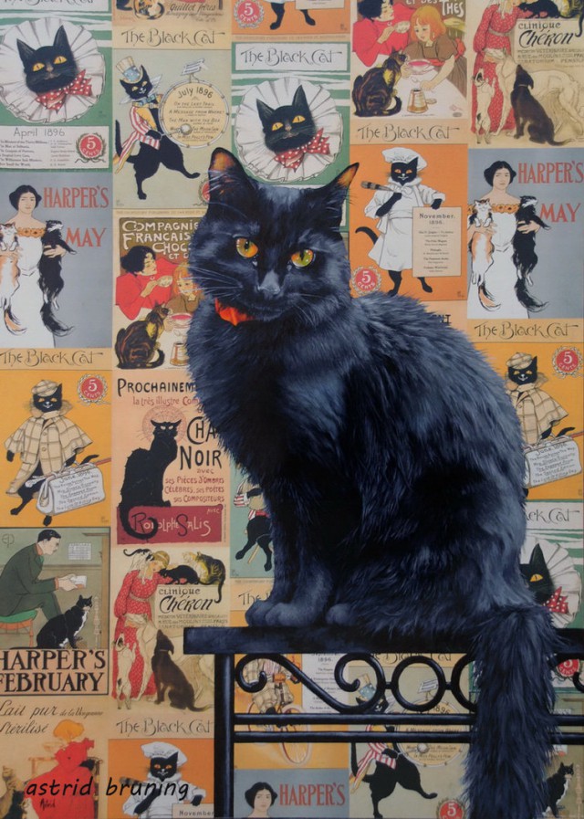 Коты и Кошки