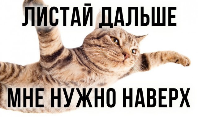 Эй, стахановец, заканчивай работу, погнали отдыхать!