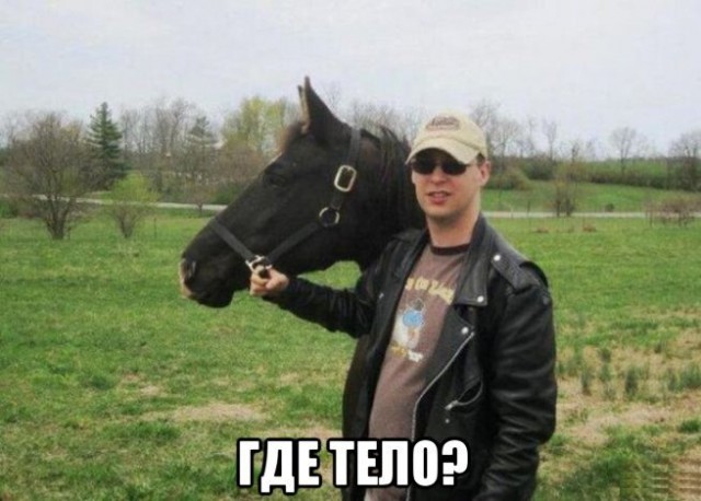 Прикольные картинки абавсём