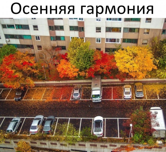 Нестандартный юмор