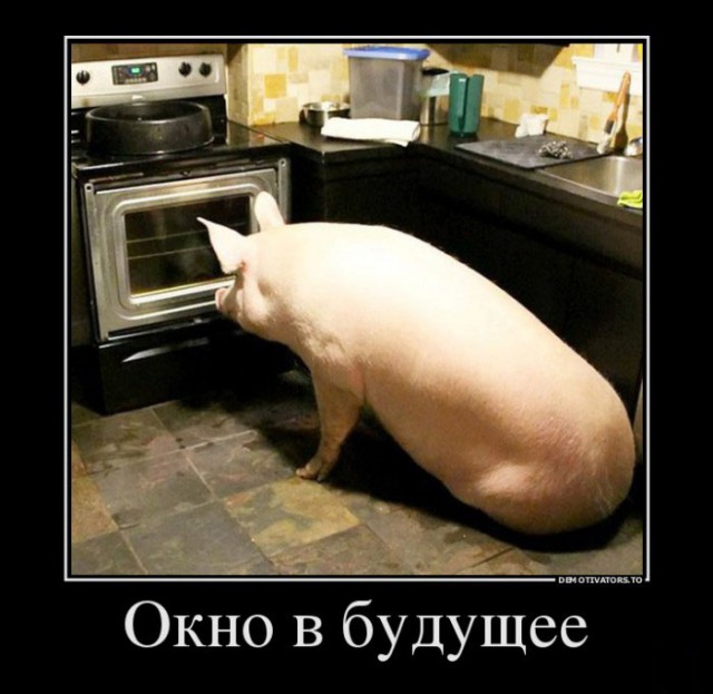 Чудики из социальных сетей