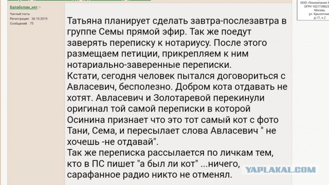 Помогите вернуть кота! Приют "Преданное сердце" украл кота и не отдает!