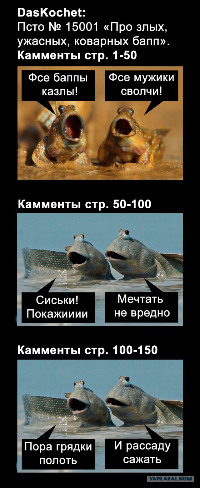 Как отличить никчёмную женщину от настоящей