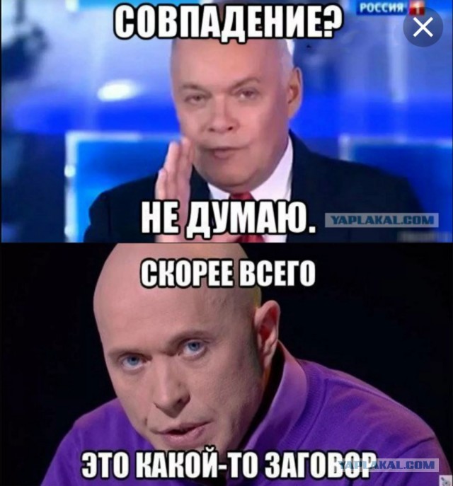 Москвичи оказались главными поклонниками гей-порно в России