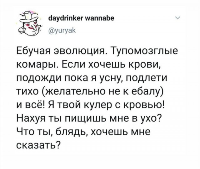 Свинегрет: картинки, надписи и прочее на 22.07 или №27