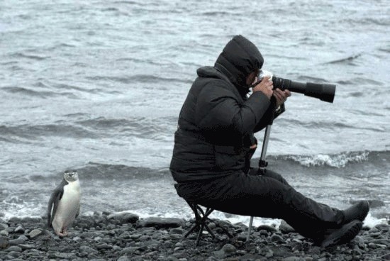 Внимательный фотограф