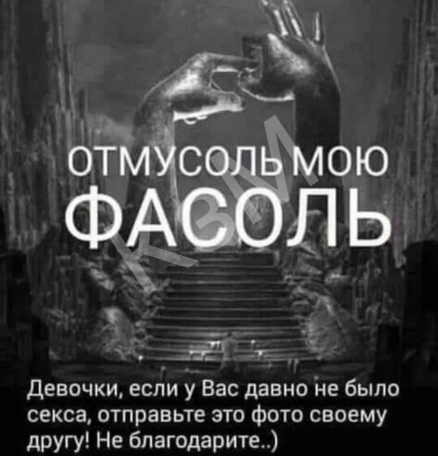 Котомемы