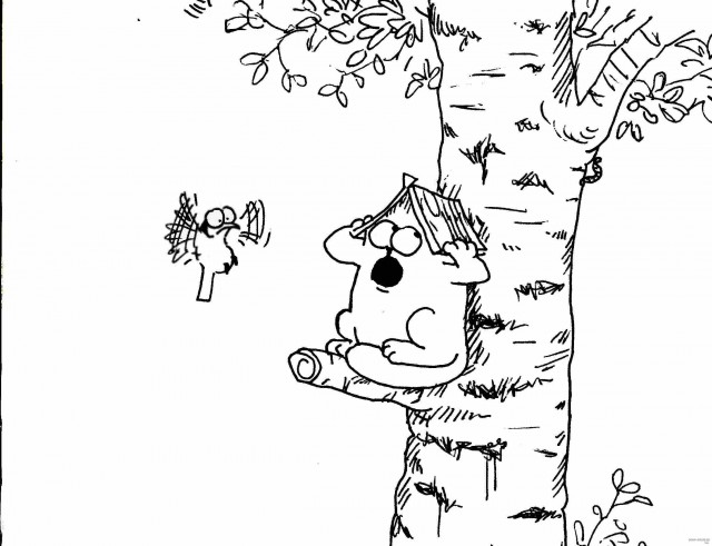 Фигасе воробушек!