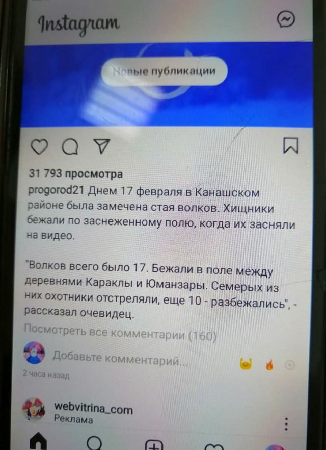 Идёт охота на волков, идёт охота!