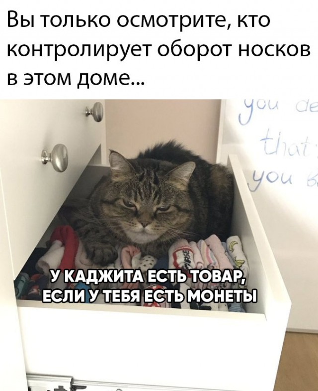 Картинки и мемы для настроения 27.04.2021