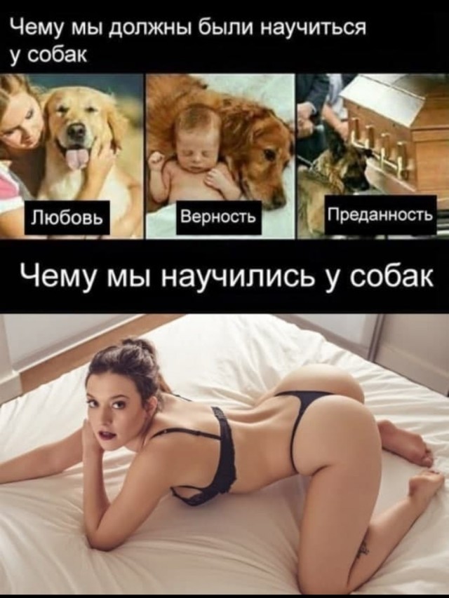Не очень адекватный юмор