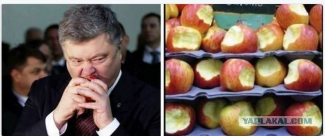 Попробовал сыр