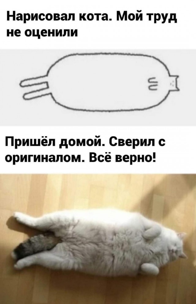 Подборка картинок и мемов на любой вкус