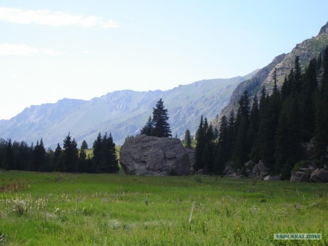 Природа Южного Казахстана