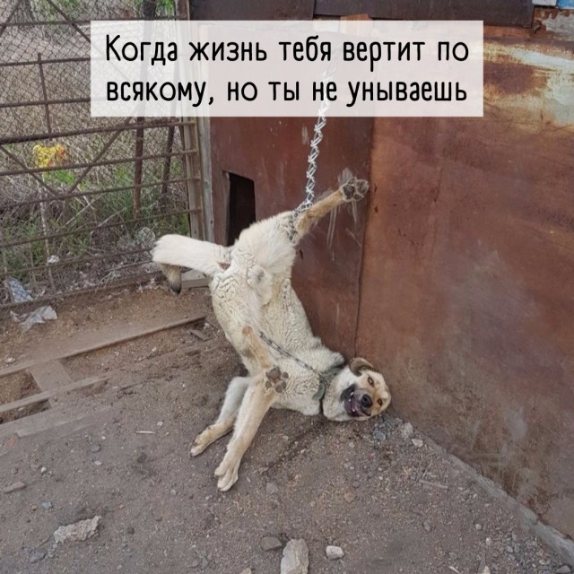 Так себе картинки 01.04.22