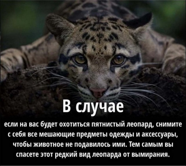 Картинки и мемы, всем отличных выходных