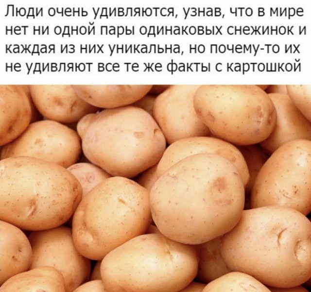 Картинки и мемы для настроения  - 31