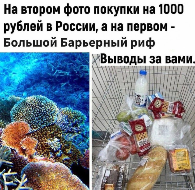 Весёлый полтишок 20.06.22