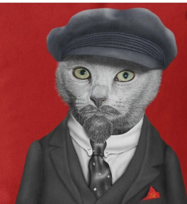 Коты ишачат на заводе