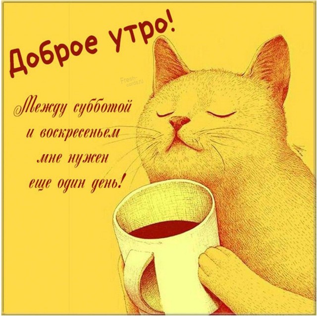 Когда уже родишь?