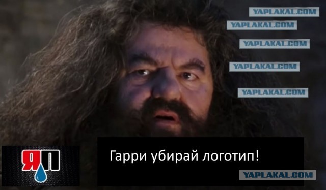 Гарри Поттер и его приключения на телеканалах