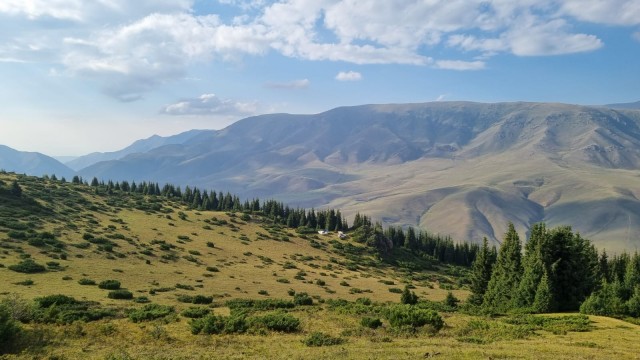 Кулинарная общалка