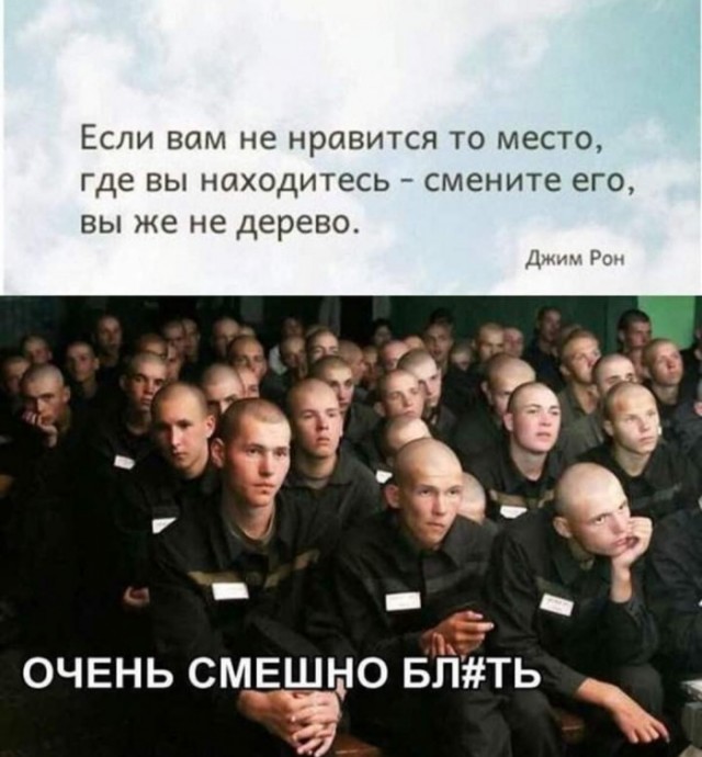 Весёлый полтишок 08.09.22