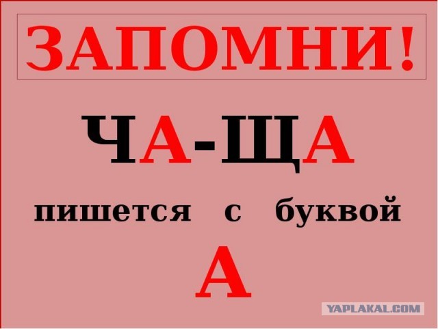 Мужчину осудили за унижение чести и достоинства РСП