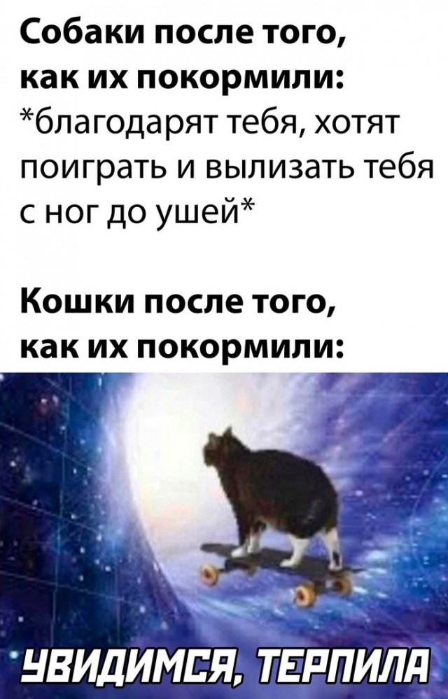 Что тебе нравится в девушках?
